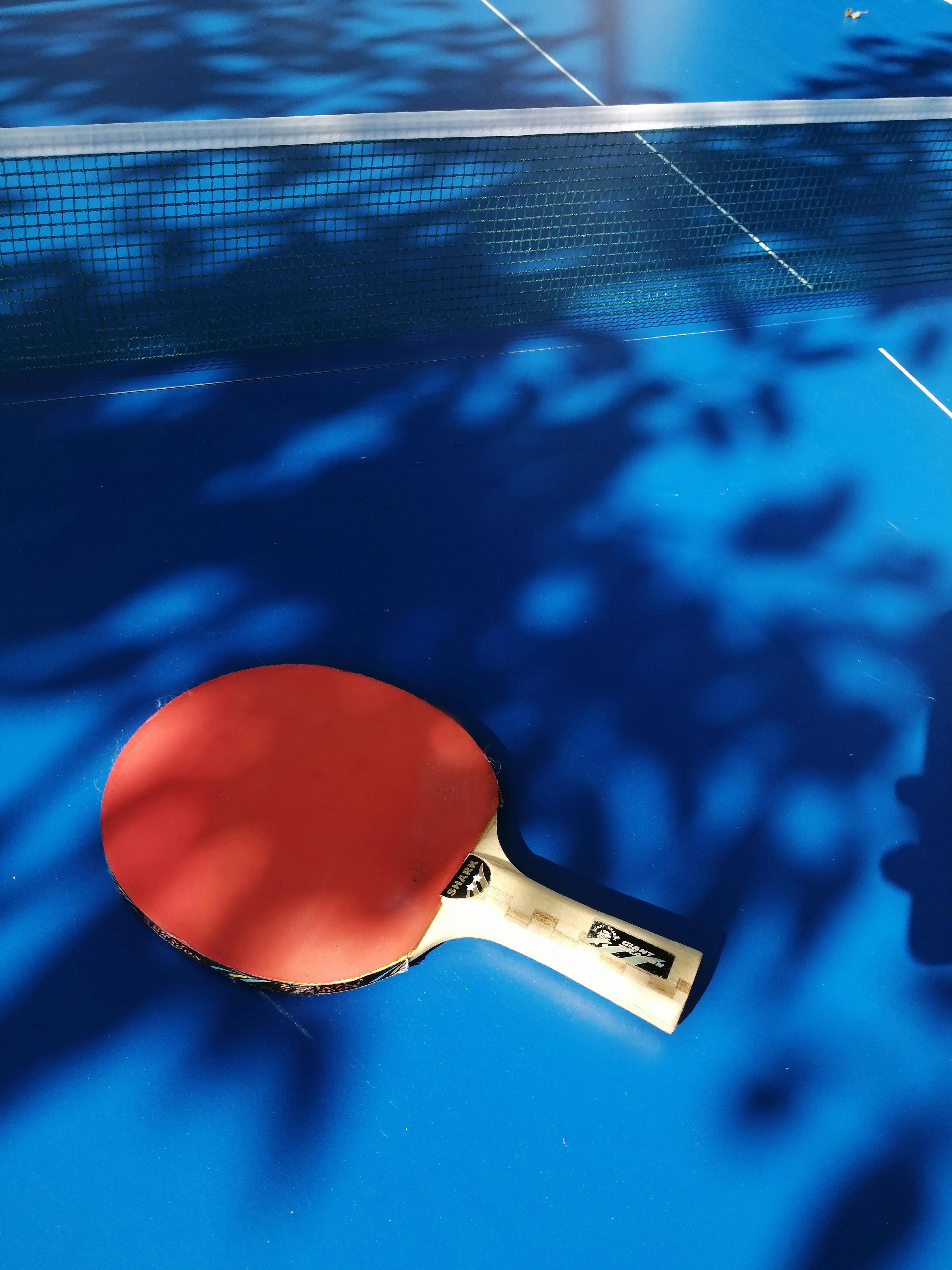 Table tennis in Chisinau